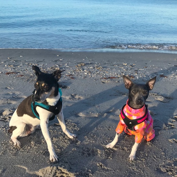 Meet your Posher, Sarah - Picture 10 of 17